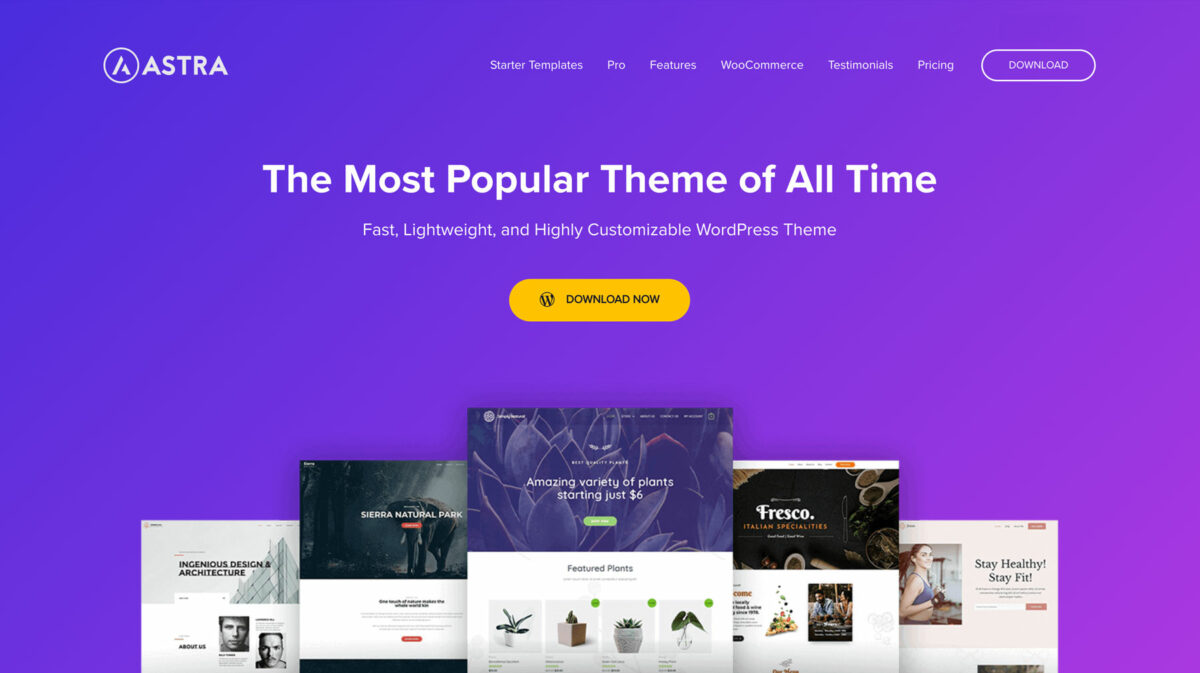 Main image of Astra WordPress theme